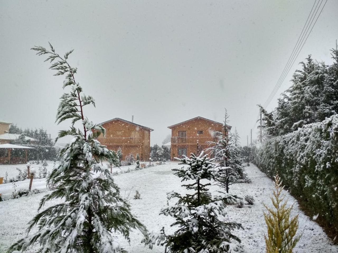 Kastor Chalets Ampelokipoi  外观 照片