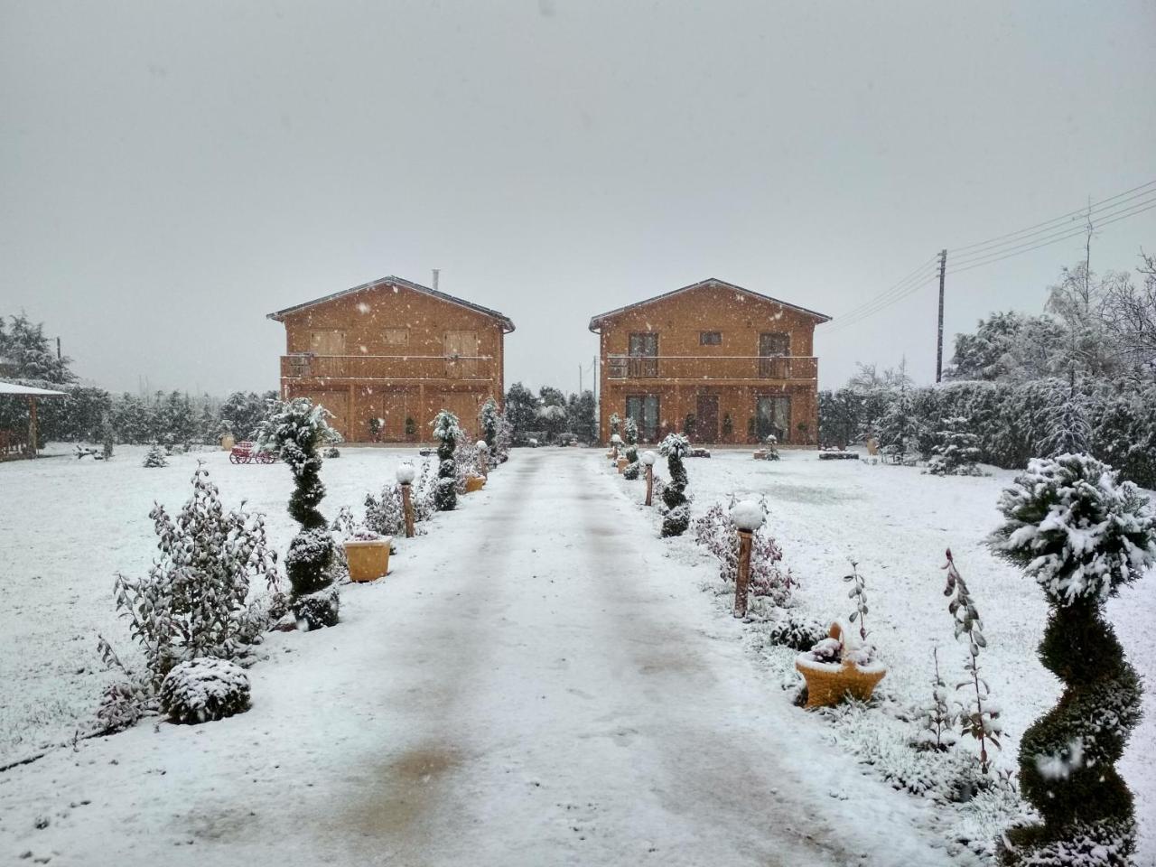 Kastor Chalets Ampelokipoi  外观 照片